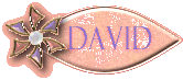 pin_dav.gif (7717 bytes)